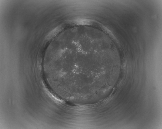X0000081620402200701151437