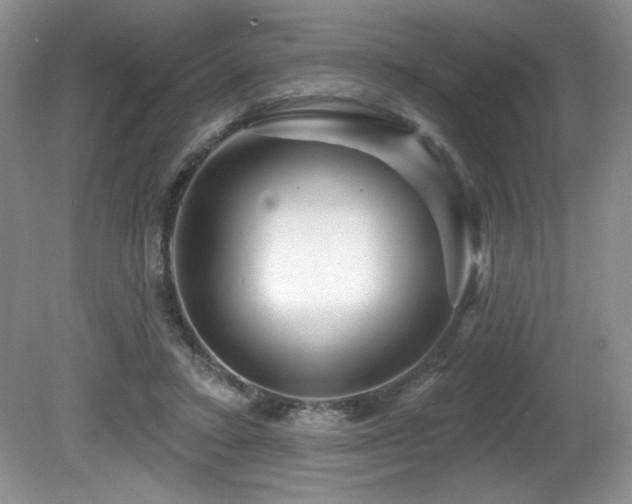 X0000081620403200701151437