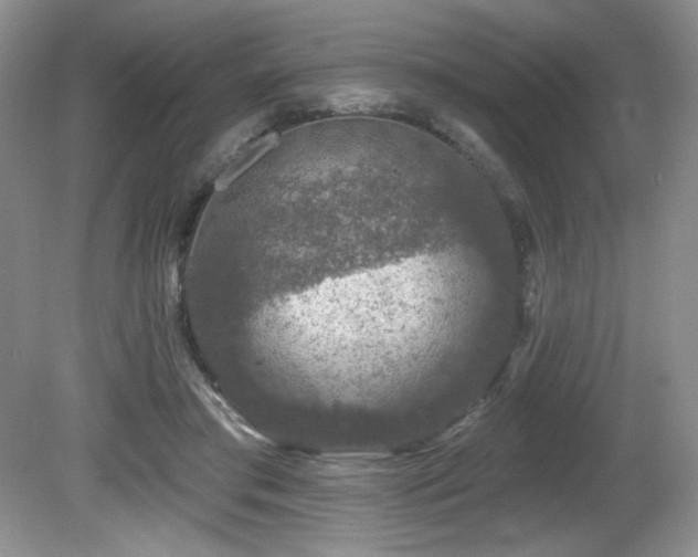 X0000081620405200701151437