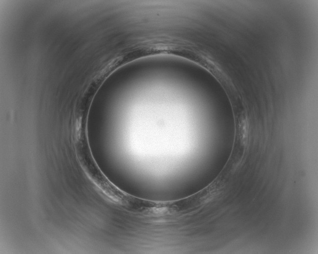 X0000081620406200701151437