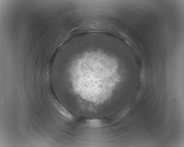 X0000081620409200701151437