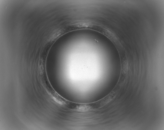 X0000081620414200701151436