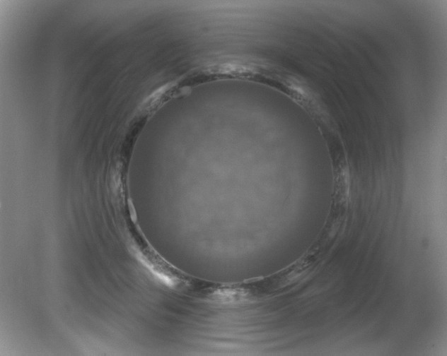 X0000081620415200701151436