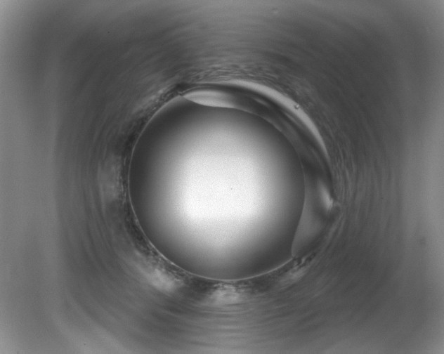 X0000081620416200701151436