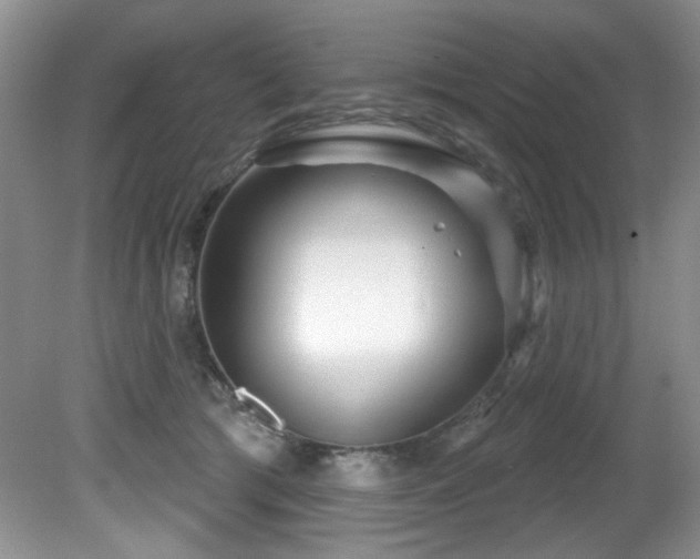 X0000081620417200701151436