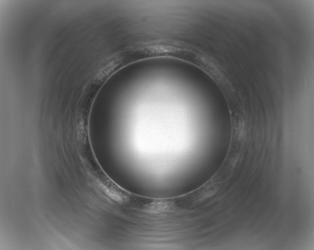 X0000081620418200701151436