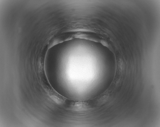 X0000081620420200701151436