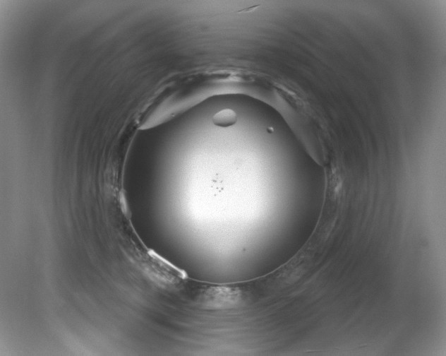 X0000081620421200701151436