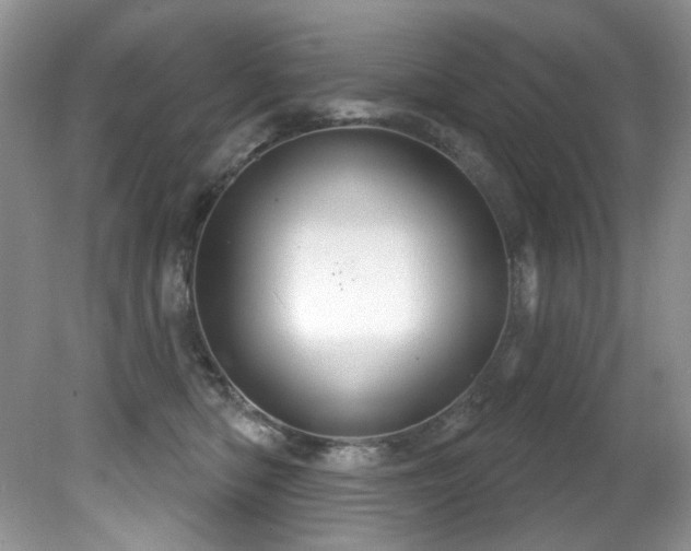 X0000081620422200701151436