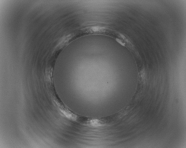 X0000081620423200701151436