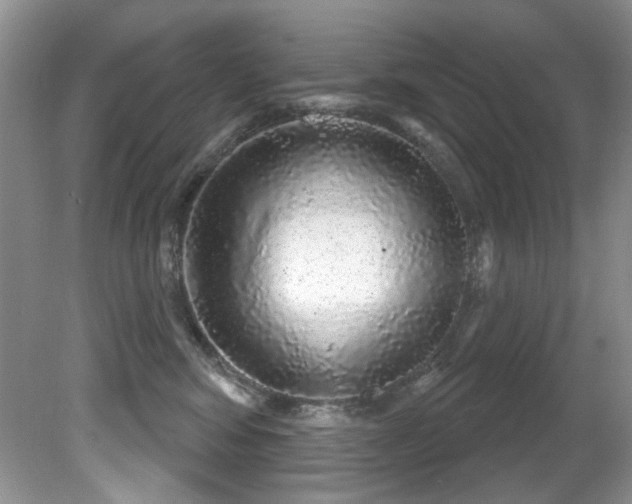 X0000081620424200701151436