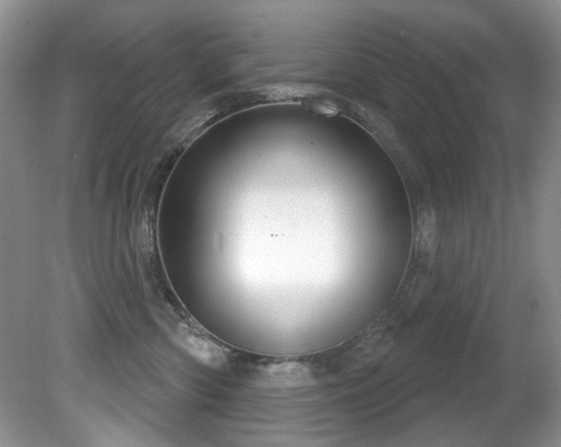 X0000081620426200701151436