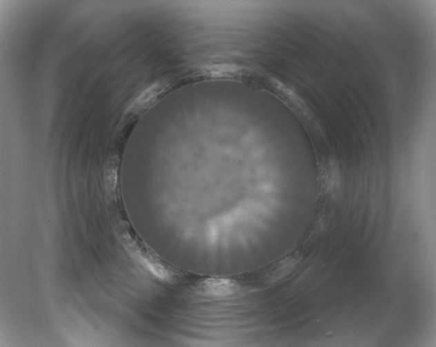 X0000081620427200701151436