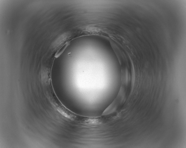 X0000081620428200701151436