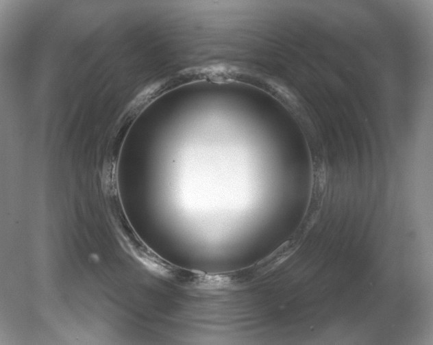 X0000081620429200701151436