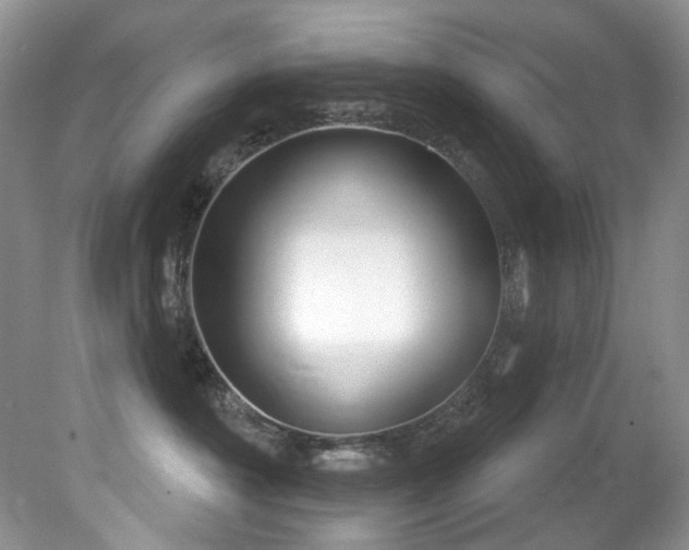X0000081620430200701151436