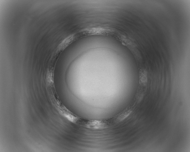 X0000081620431200701151436