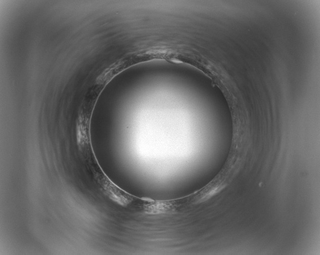 X0000081620432200701151436