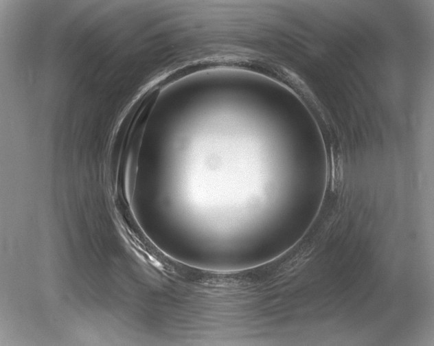 X0000081620435200701151435
