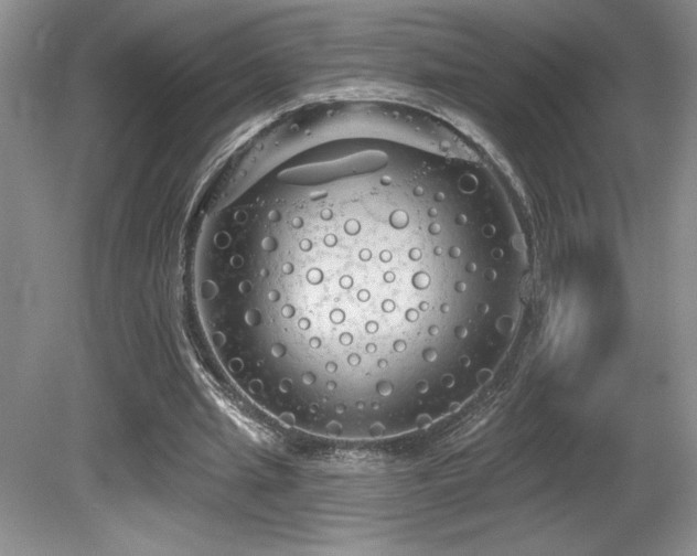 X0000081620437200701151435