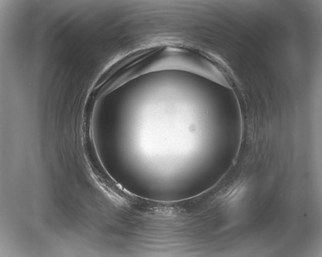 X0000081620439200701151435