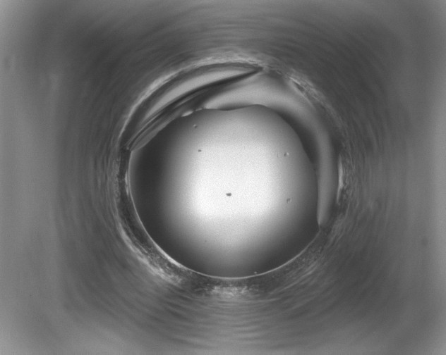 X0000081620440200701151435