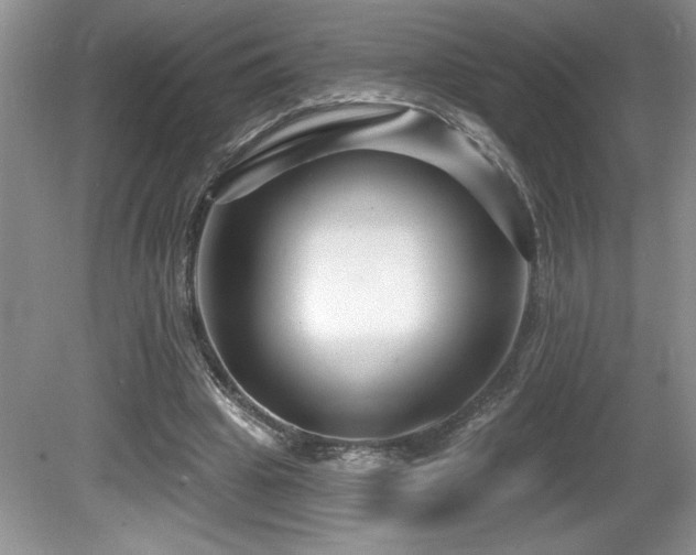 X0000081620441200701151435