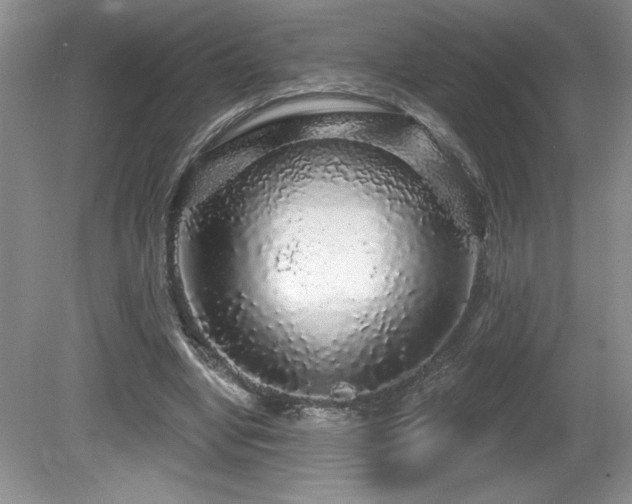 X0000081620442200701151436