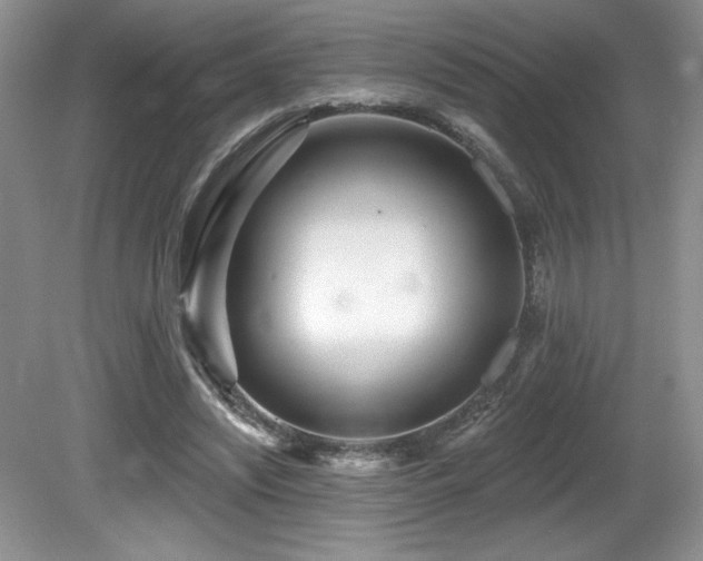 X0000081620444200701151436