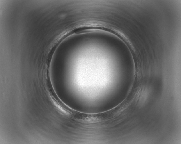 X0000081620445200701151436