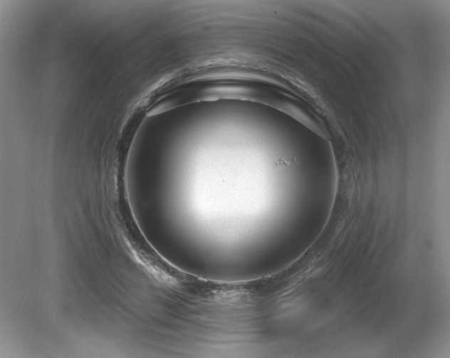 X0000081620446200701151436