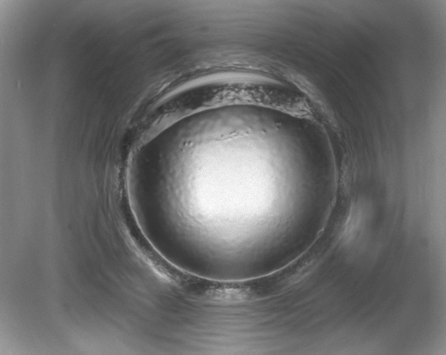 X0000081620449200701151436