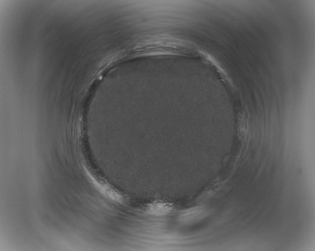 X0000081620451200701151436