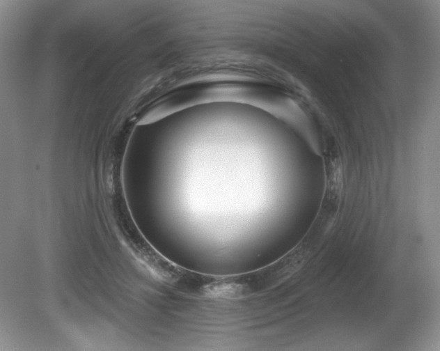 X0000081620452200701151436