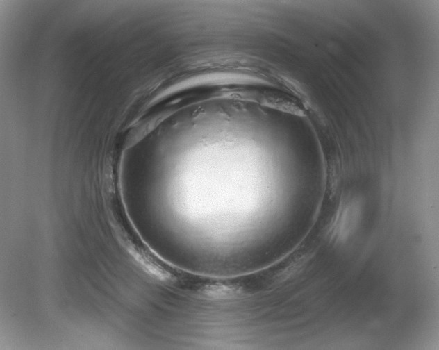 X0000081620453200701151436
