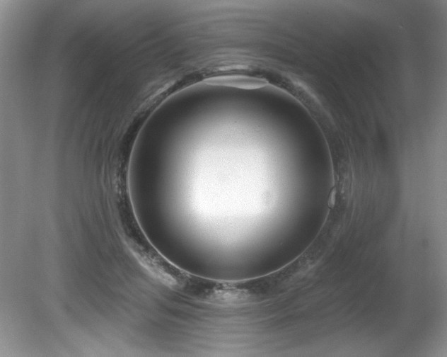 X0000081620455200701151436