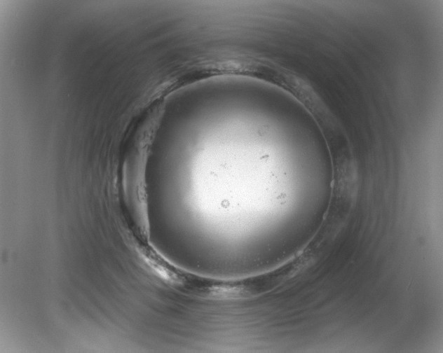 X0000081620457200701151436