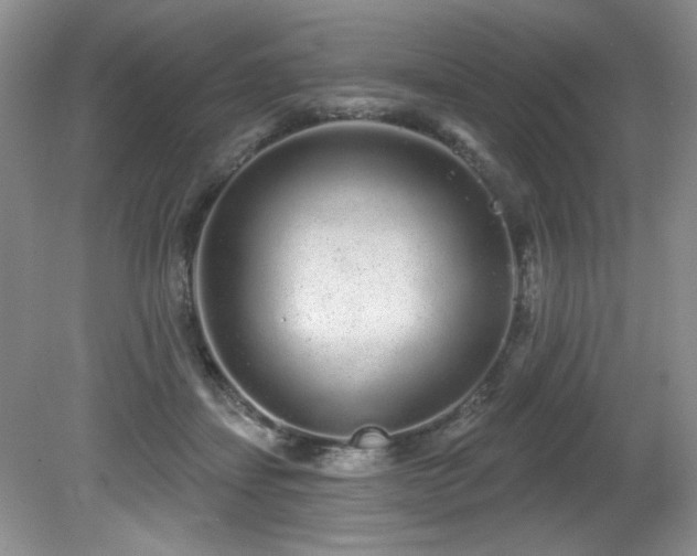 X0000081620459200701151436