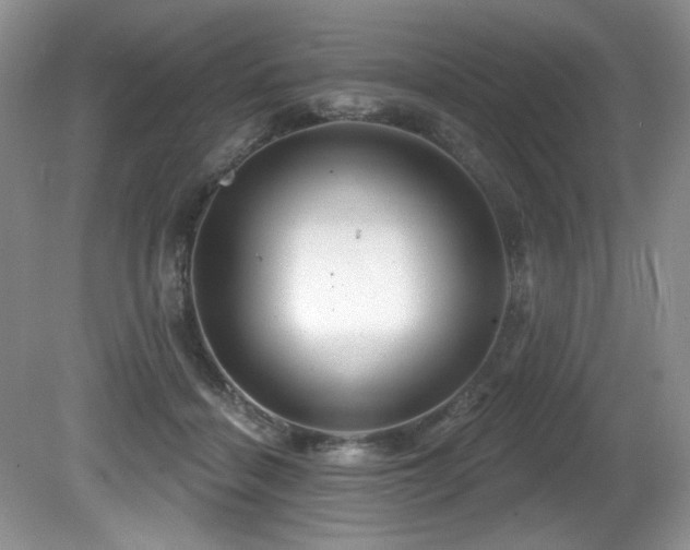 X0000081620460200701151436