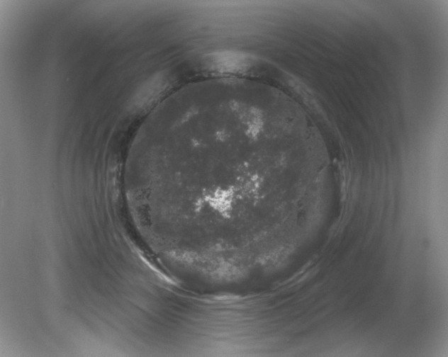 X0000081620462200701151436