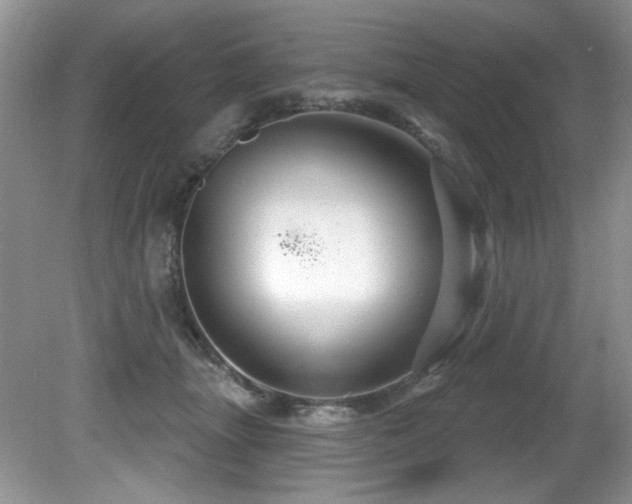 X0000081620463200701151436