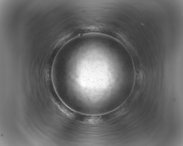 X0000081620466200701151436