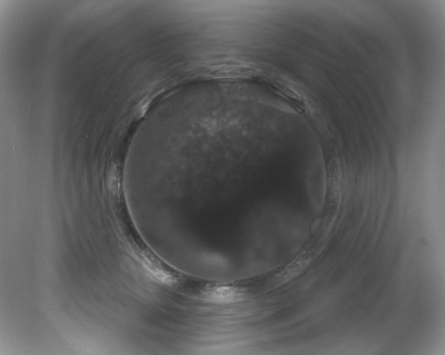 X0000081620467200701151436