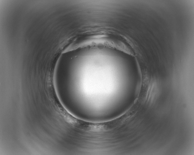X0000081620469200701151436