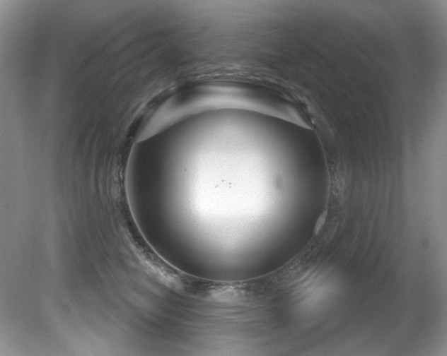 X0000081620470200701151436