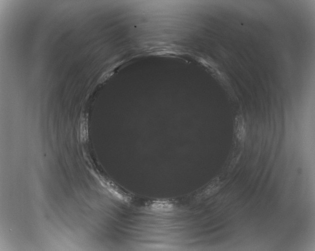 X0000081620471200701151436