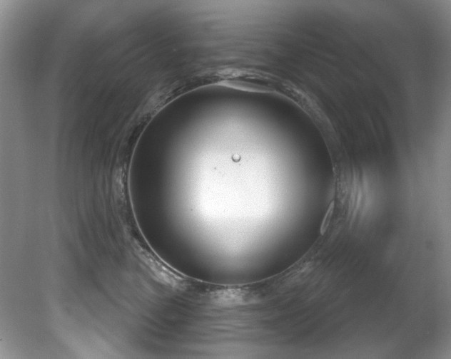 X0000081620473200701151436