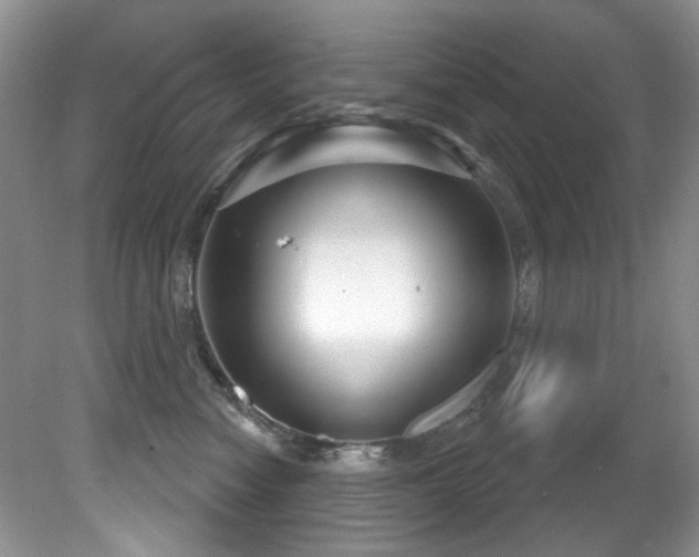 X0000081620474200701151436