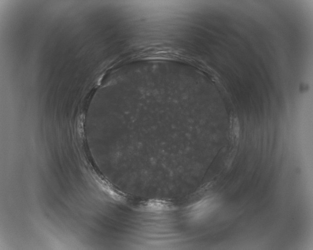 X0000081620475200701151436
