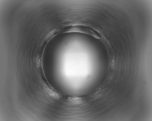 X0000081620476200701151436